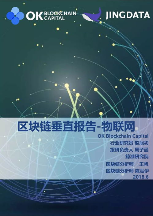 2018區塊鏈垂直行業報告 物聯網與網絡技術融合研究
